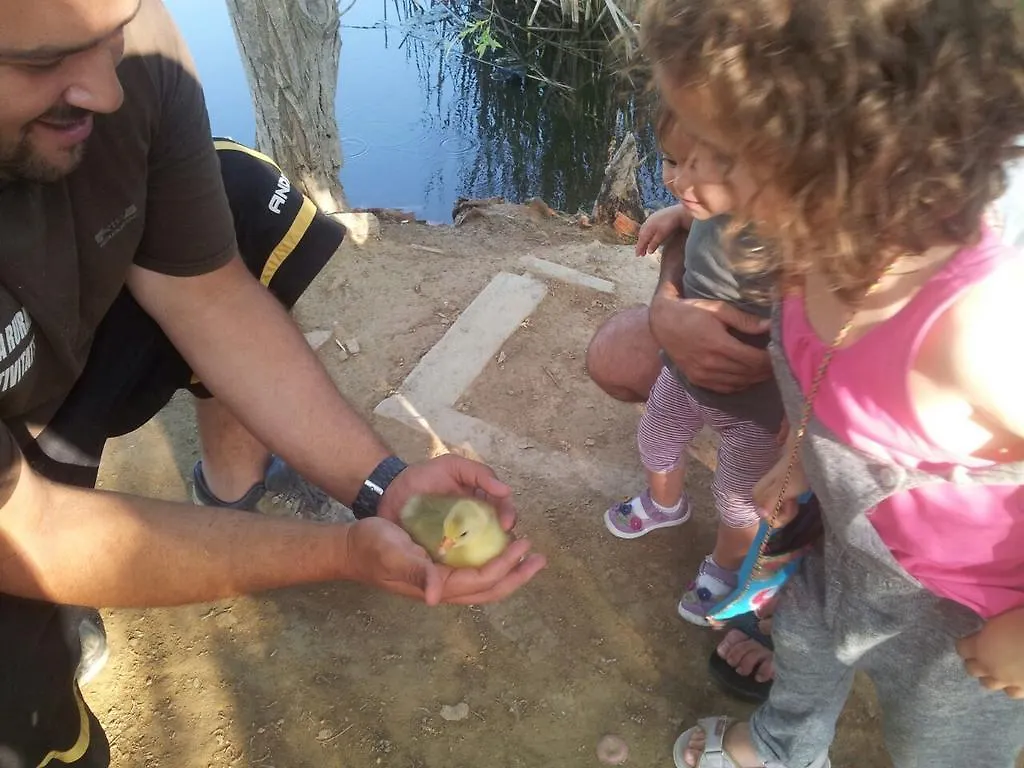 דלטברה Caseta Morritos ספרד